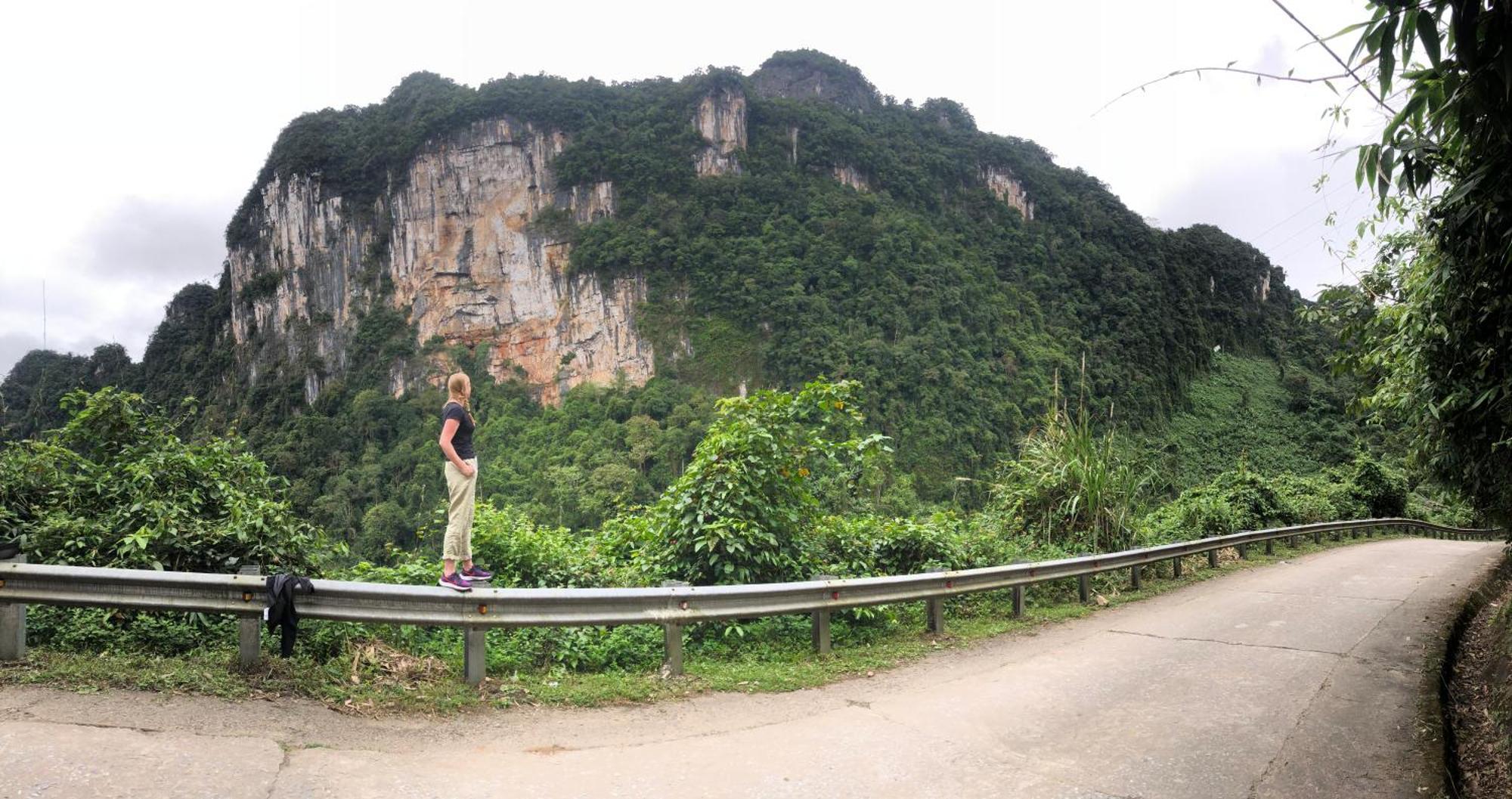 Tutu'S Homestay Phong Nha Dış mekan fotoğraf